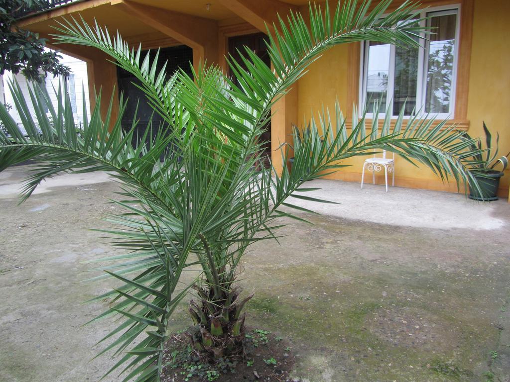 Suliko Guest House Μπατούμι Εξωτερικό φωτογραφία
